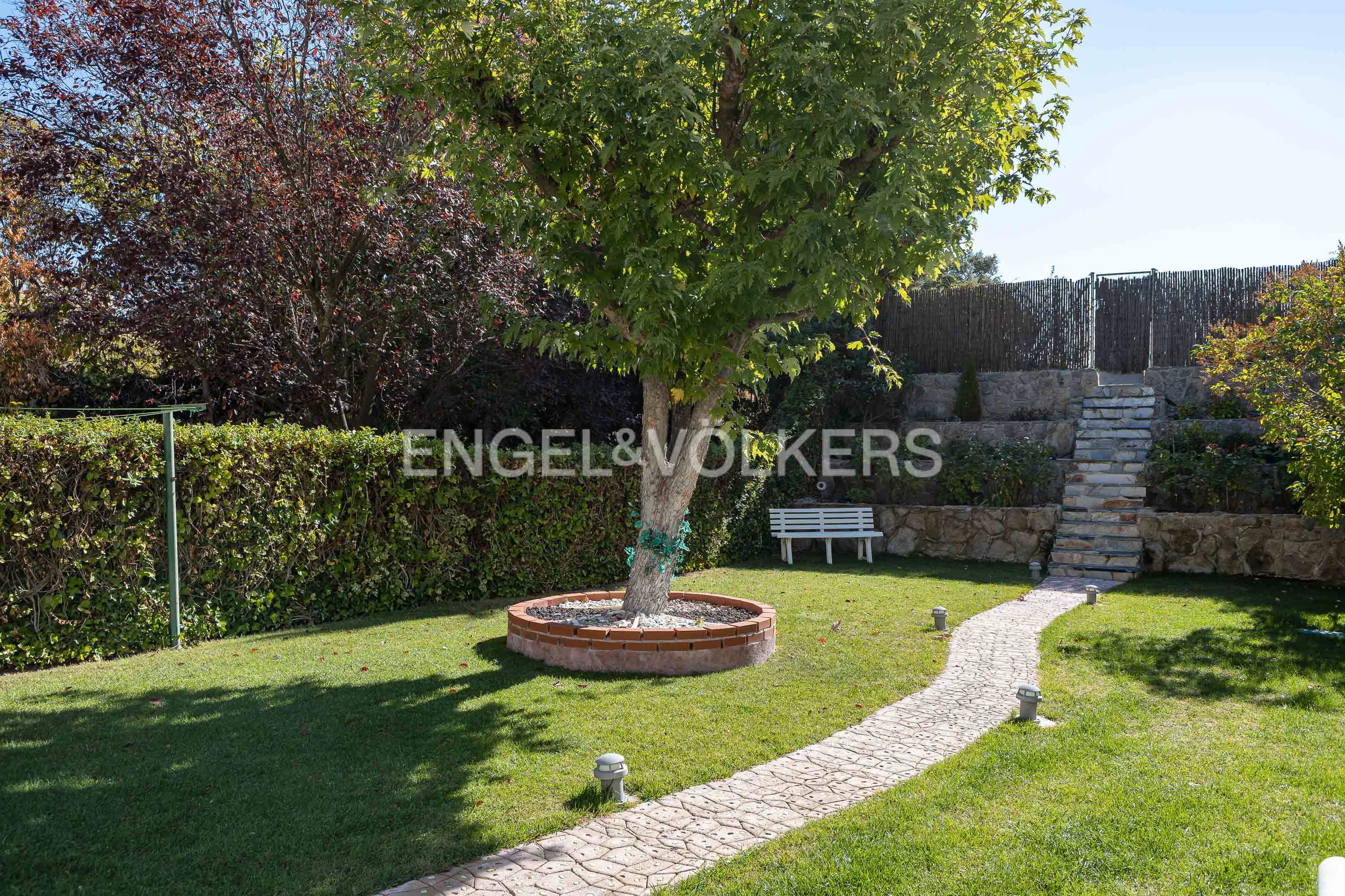 Jardí de Casa o xalet en venda en Las Rozas de Madrid amb Aire condicionat, Calefacció i Jardí privat