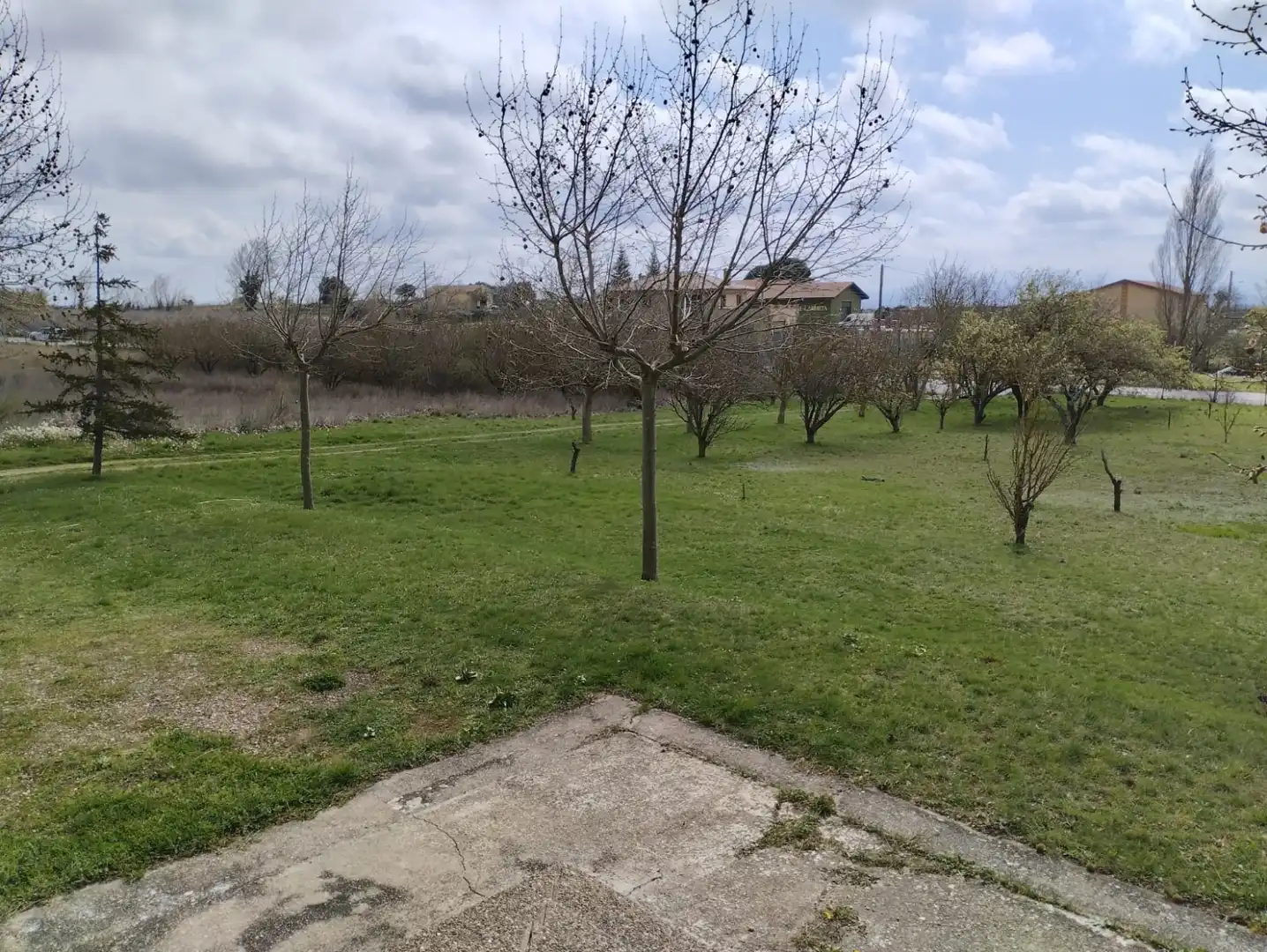 Houses for sale in Samaniego