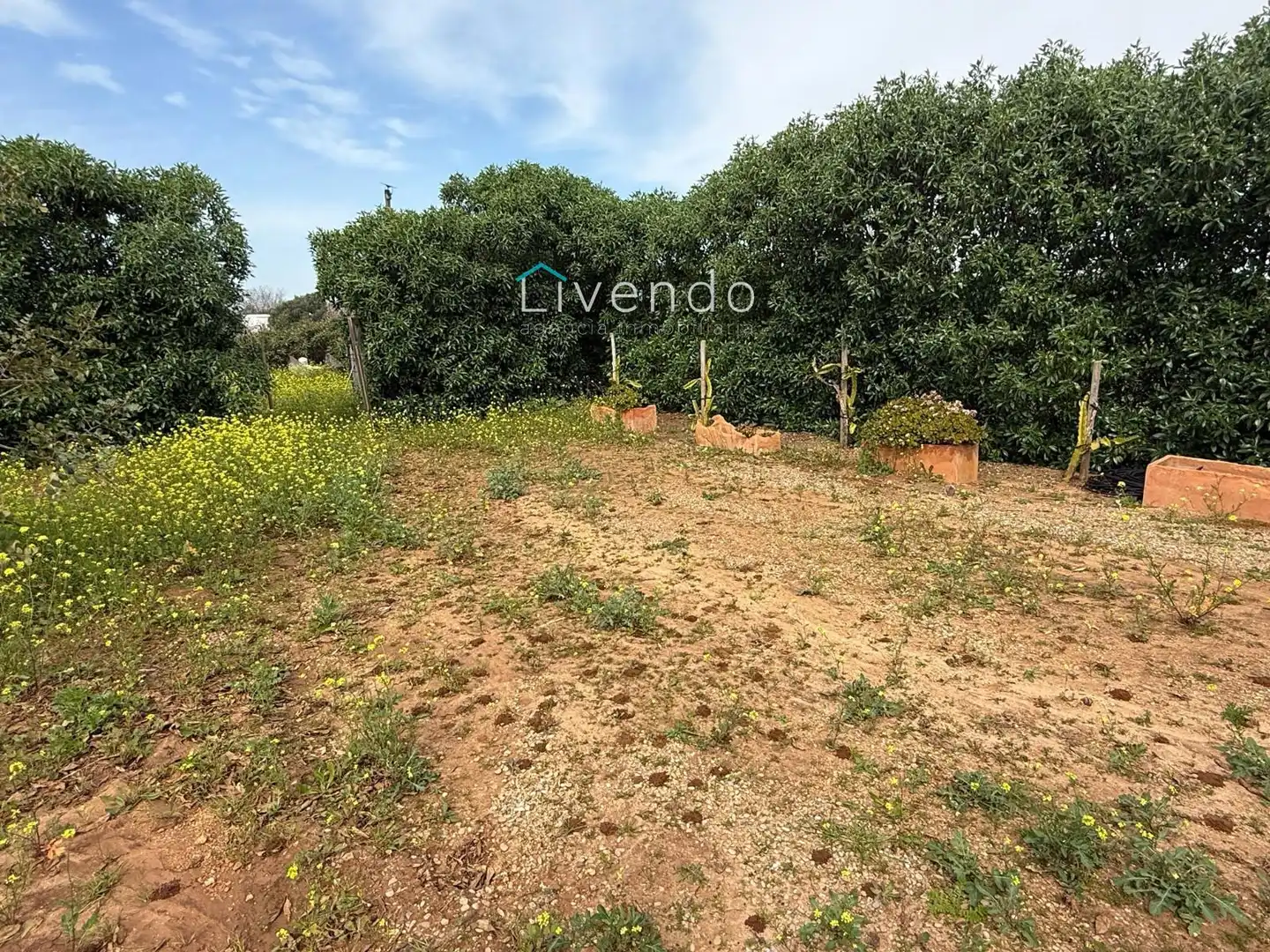 Terreny en venda en Conil de la Frontera