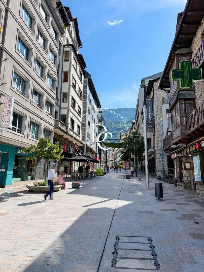 Local comercial de lloguer a Avinguda Carlemany, imagen 3