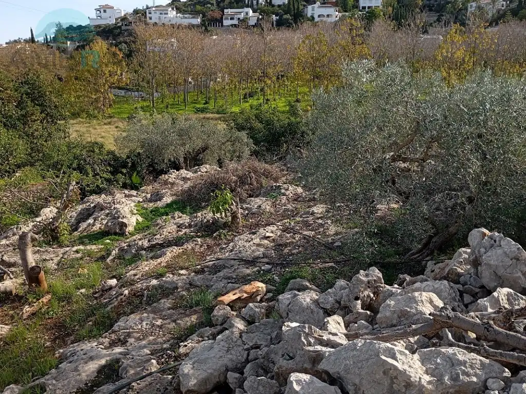 Rural land for sale in Partida racons, imagen 6