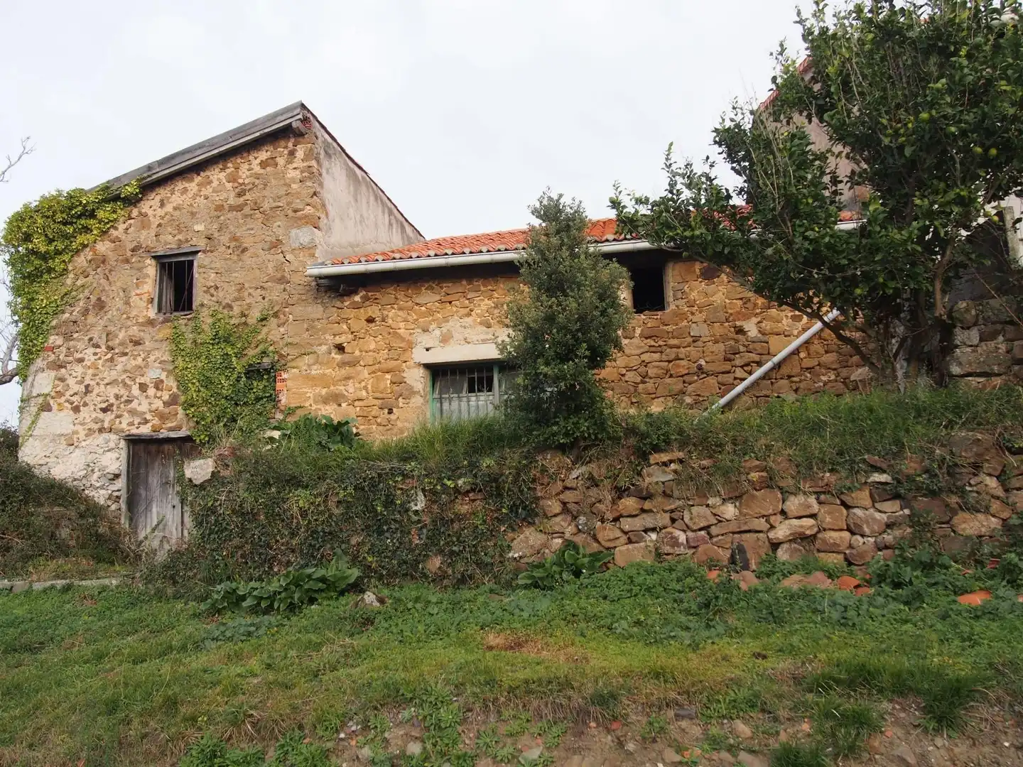 Vista exterior de Finca rústica en venta en Mendexa con Jardín privado