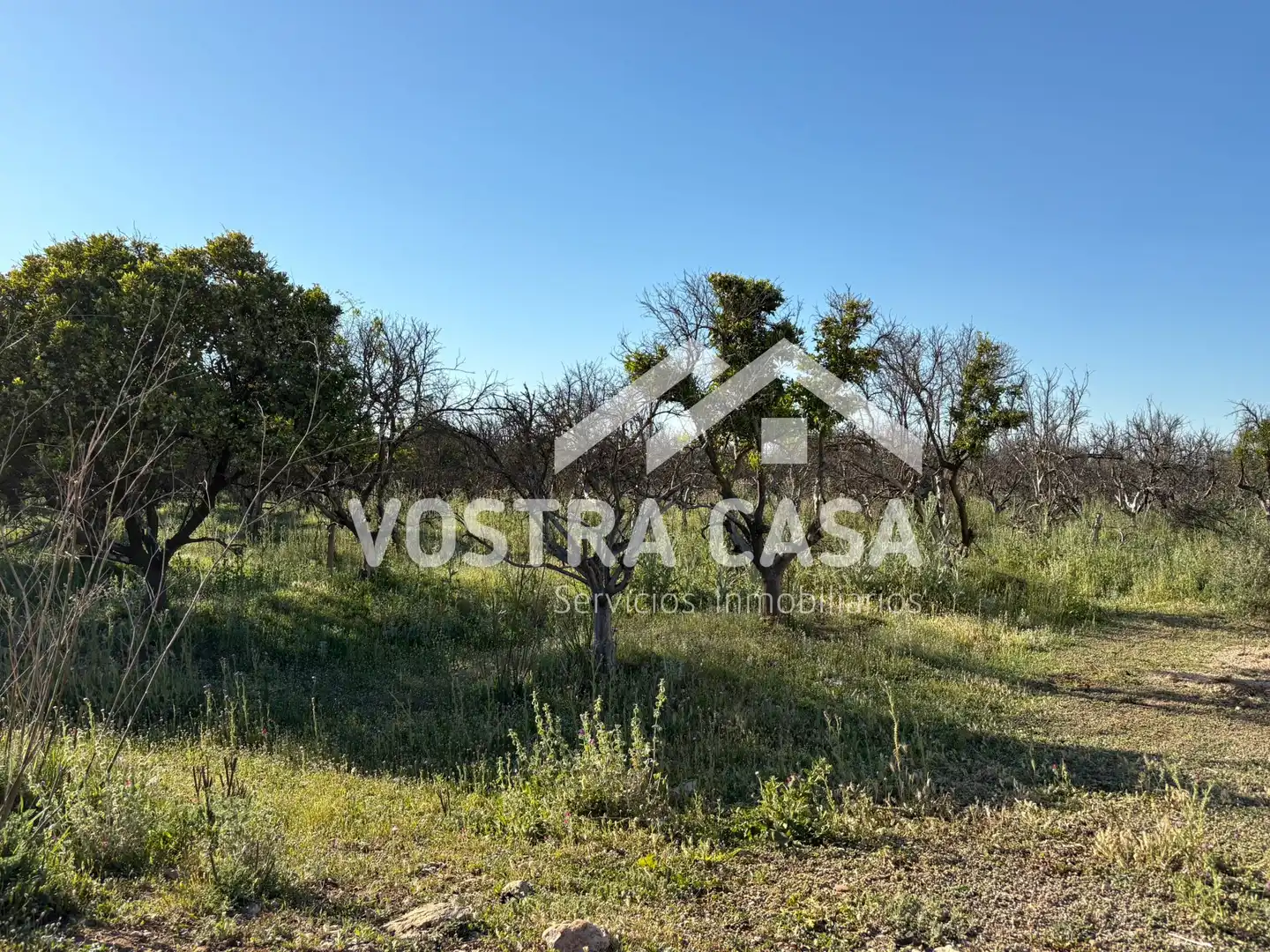Land for sale in Chiva