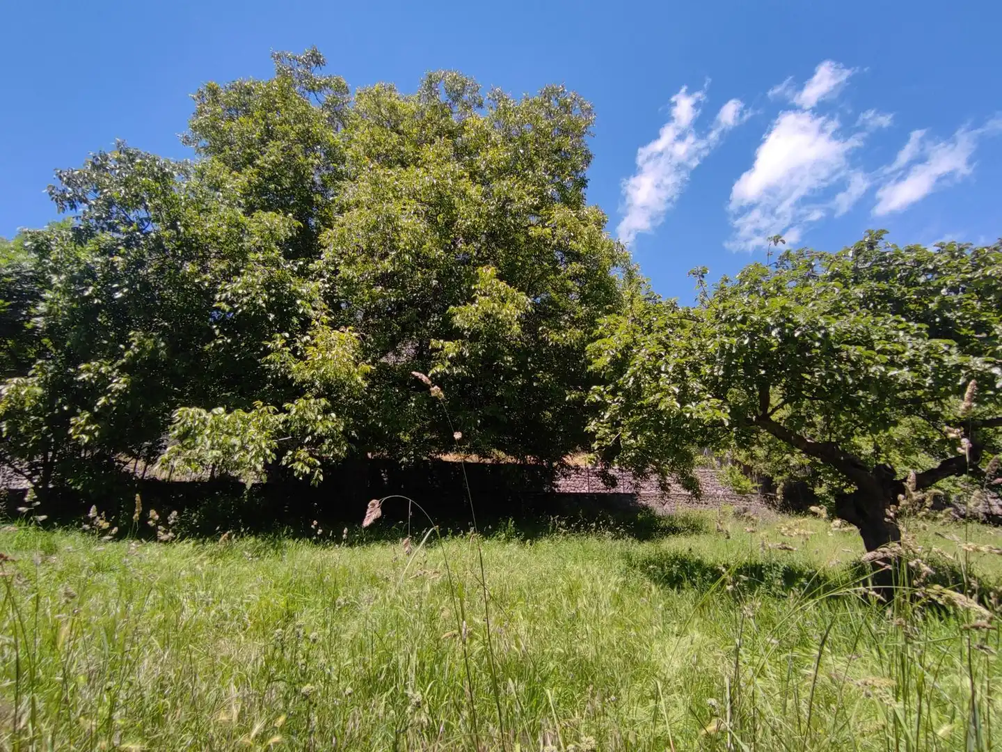 Houses for sale in Bielsa  with Private garden and Storage room