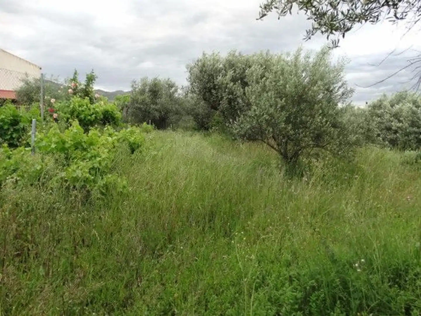 Xalet en venda a Moratalla, imagen 15