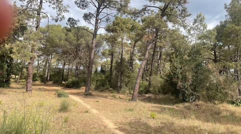 Foto 5 de Terreno en venta en Càmping Caravaning Internacional Costa Brava, 184, Mas Mora - Sant Daniel, Barcelona