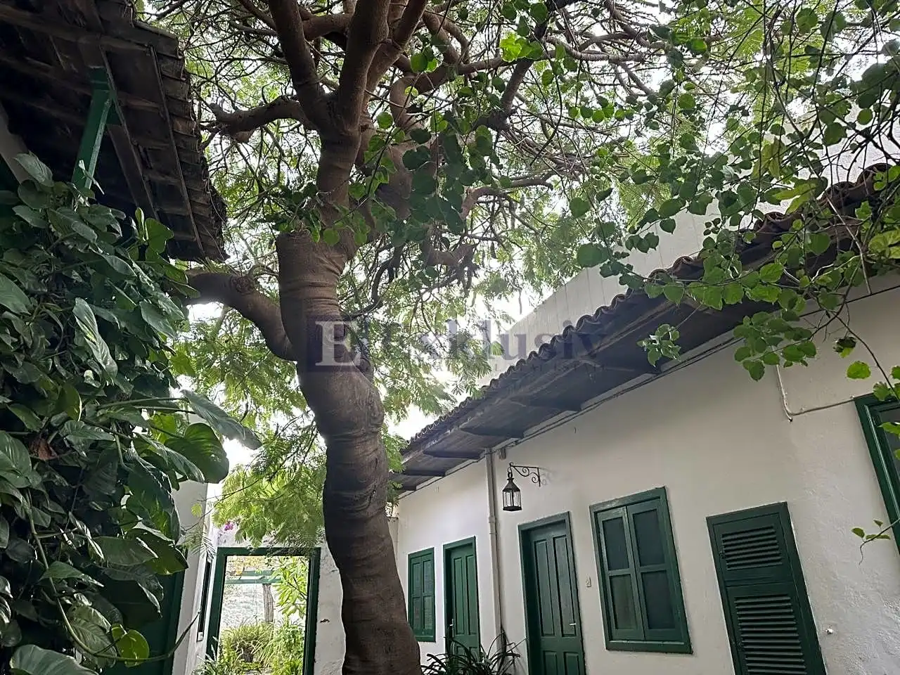 Vista exterior de Finca rústica en venta en Arico