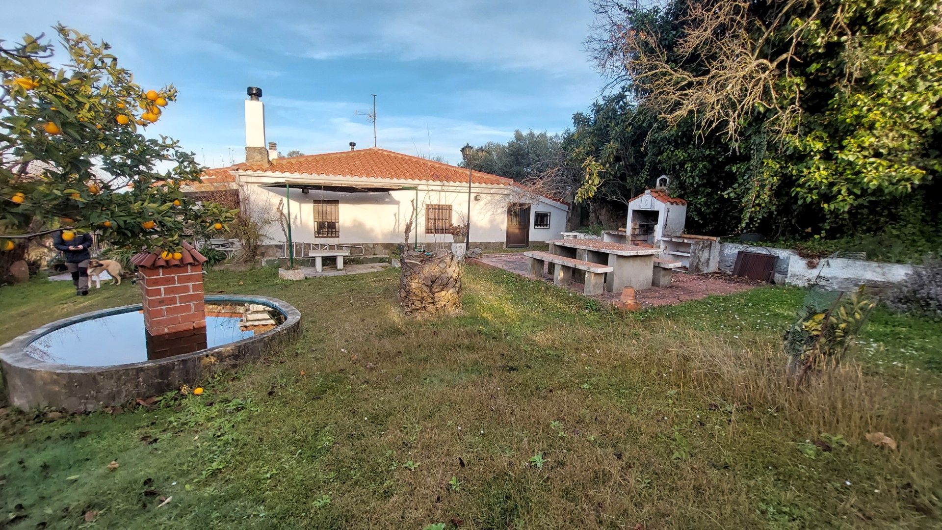 Garden of Land for sale in Plasencia