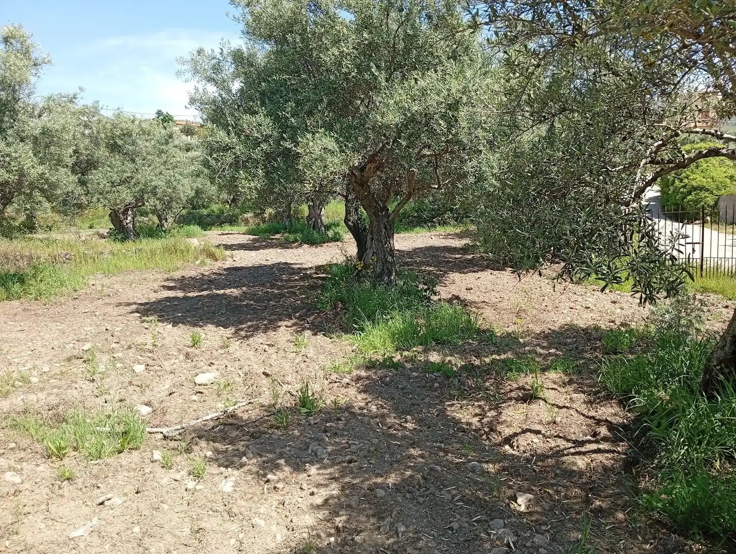 Terreni e lotti in vendita a Villanueva de la Vera, imagen 47