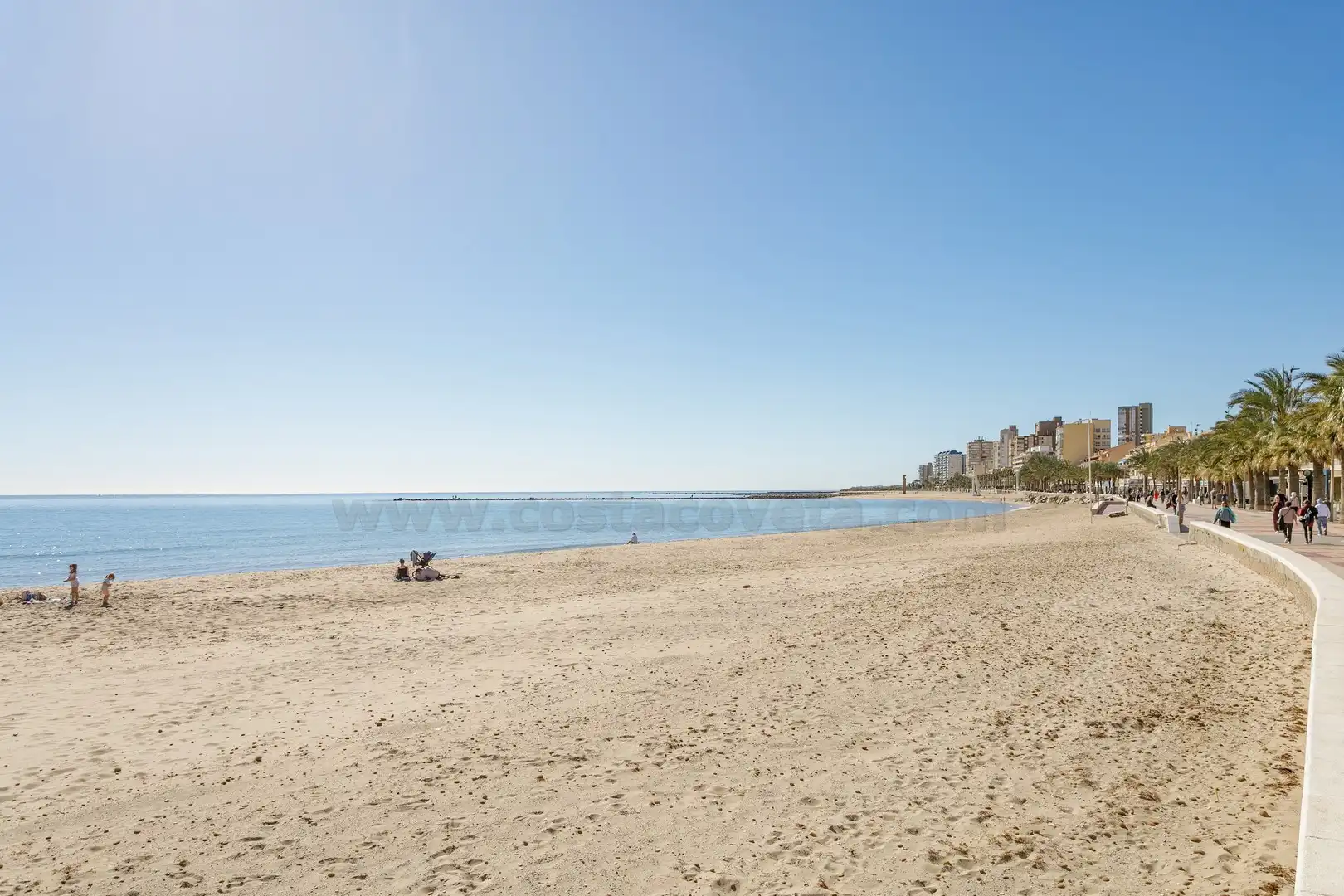 Exterior view of Apartments for sale in El Campello  with Air Conditioner, Terrace and Furnished