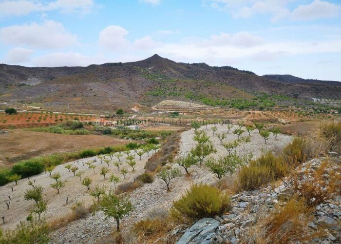 Land for sale in Cartagena