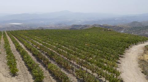 Photo 2 of Premises for sale in Plaza del Polígono, La Paz, Granada