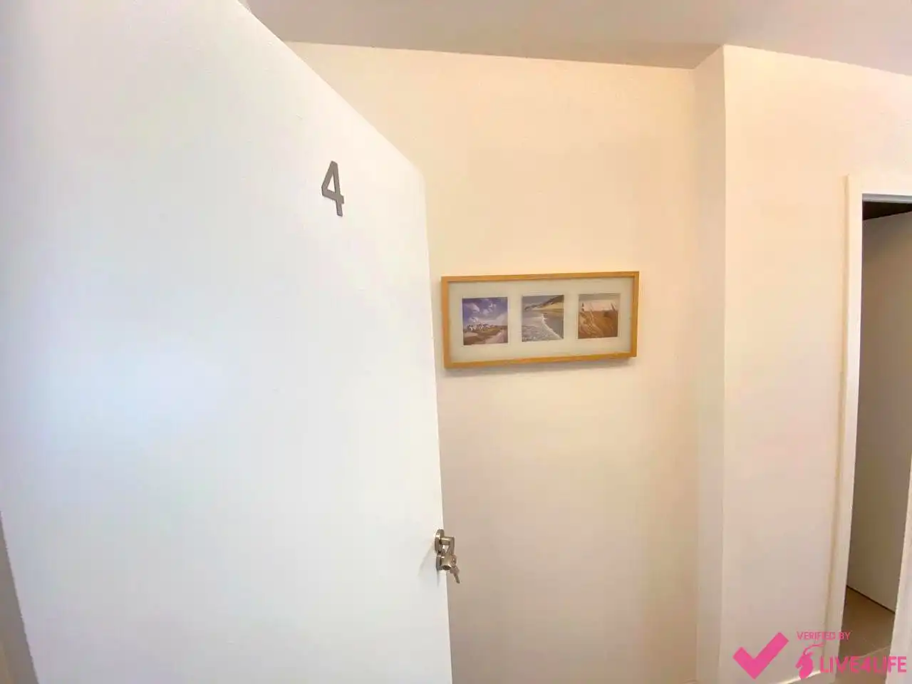 Estudio de alquiler en De Catalunya, La Carrasca