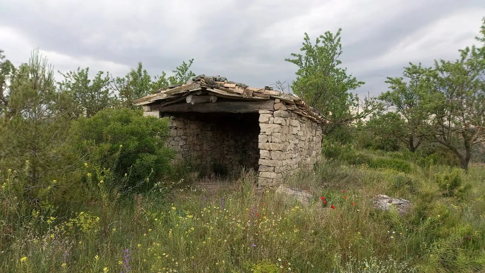 Finca rústica en venta en Vilalba dels Arcs
