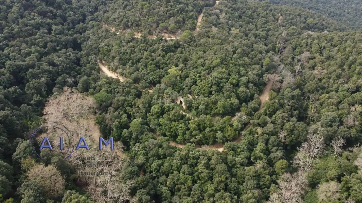 Finca rústica en venta en Santa Susanna