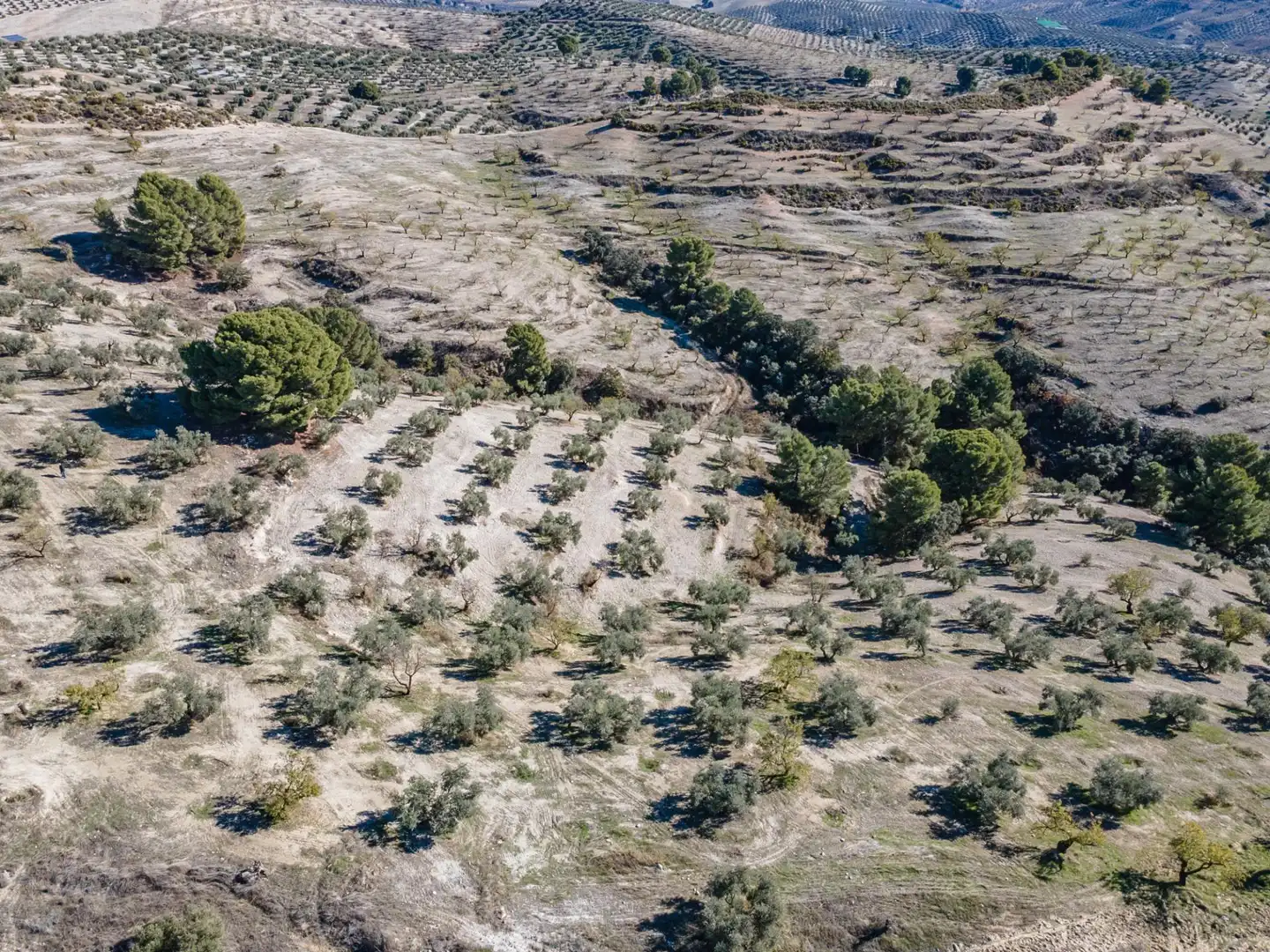 Terreni e lotti in vendita a Jayena 1, imagen 33