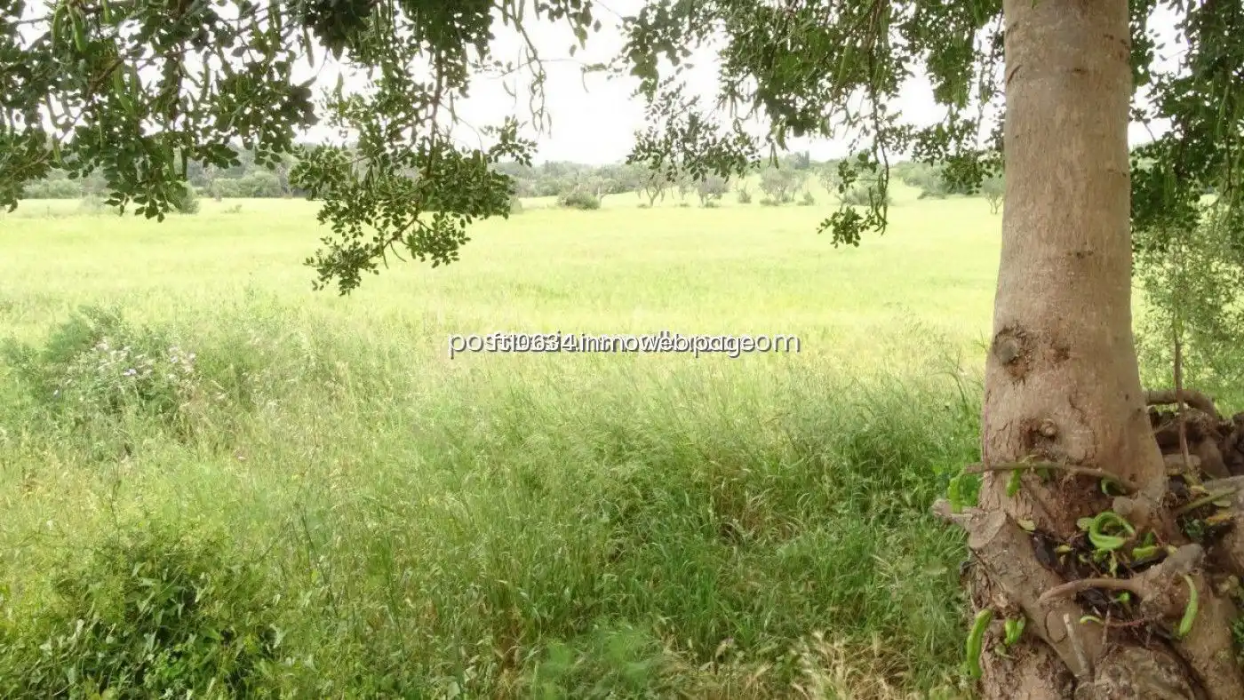 Terreno rustico in vendita a Llucmajor pueblo, imagen 19