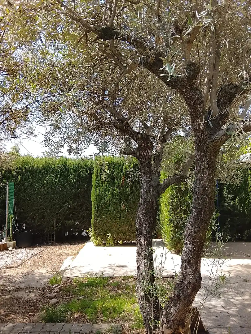 Garden of Houses for sale in Córdoba  with Air Conditioner, Private garden and Terrace