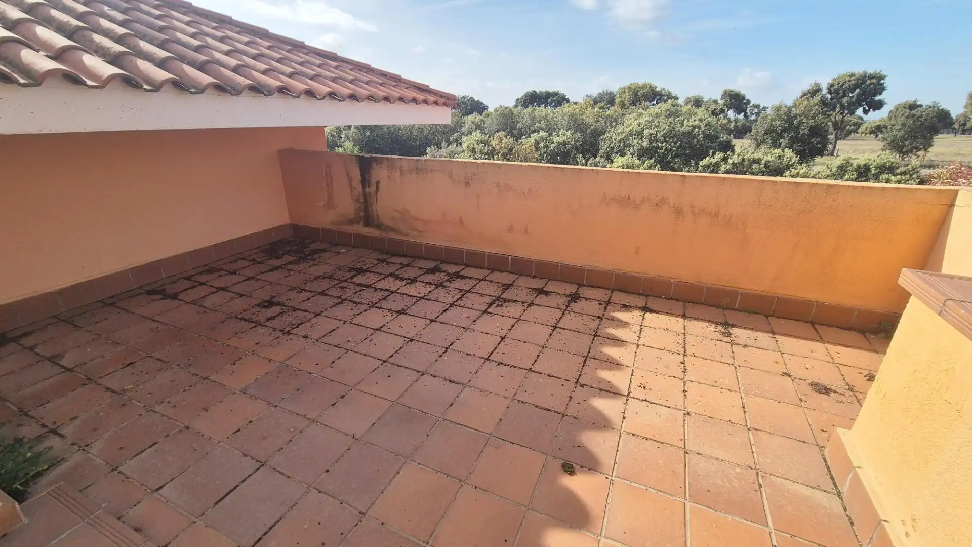 Terrace of Detached homes for sale in Carrascal de Barregas