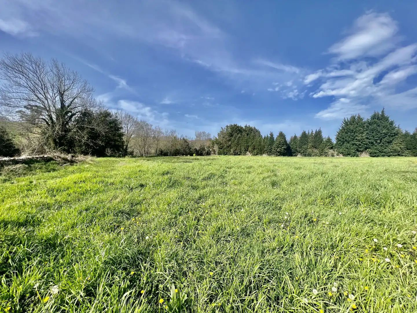 Land for sale in Entrambasaguas