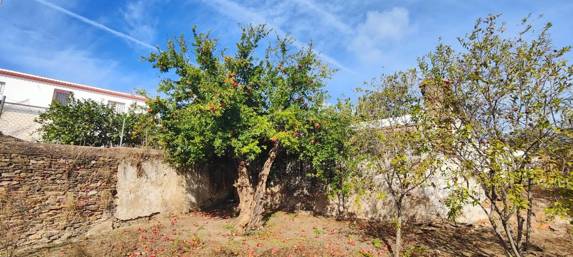 Casa en venda a CABEZO EL, imagen 65