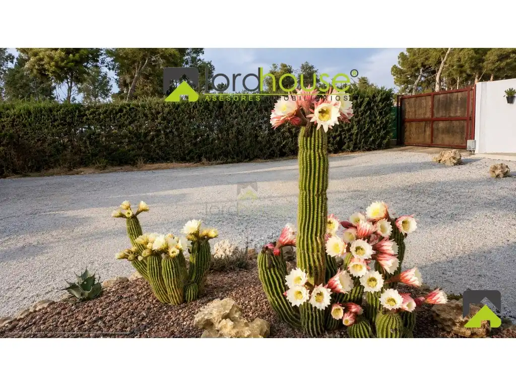 Houses for sale in Diseminados Aguaderas, Aguaderas