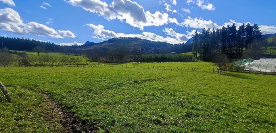 Terreno en venta en Abadiño 