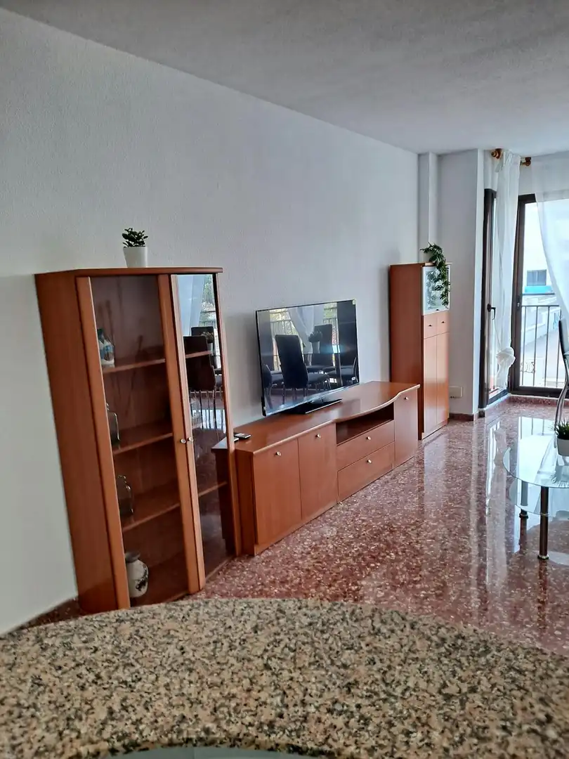 Sala de estar de Piso de alquiler en Valencia con Aire acondicionado, Calefacción y Amueblado