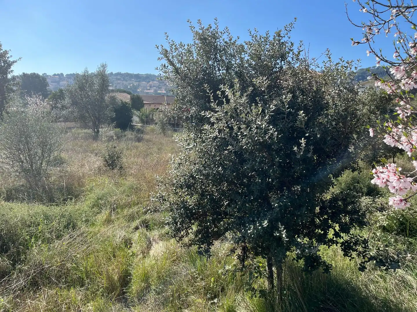 Terreny residencial en venda a Collbató, imagen 10