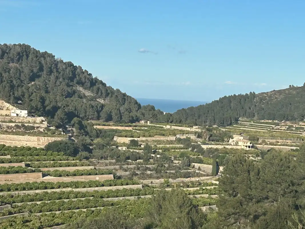 Finca rústica en venda en Oliva amb Moblat