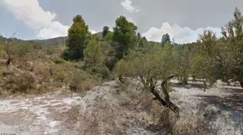 PARCELA CON OLIVAR, OPCIÓN CASETA APEROS, immagine 3