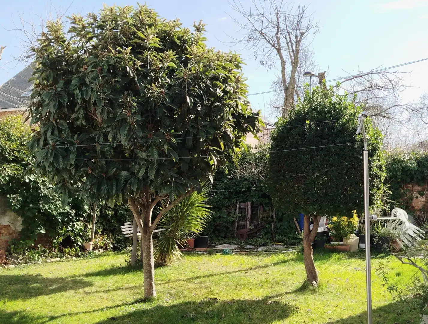 Jardín de Casa o chalet en venta en Pozuelo de Alarcón con Calefacción