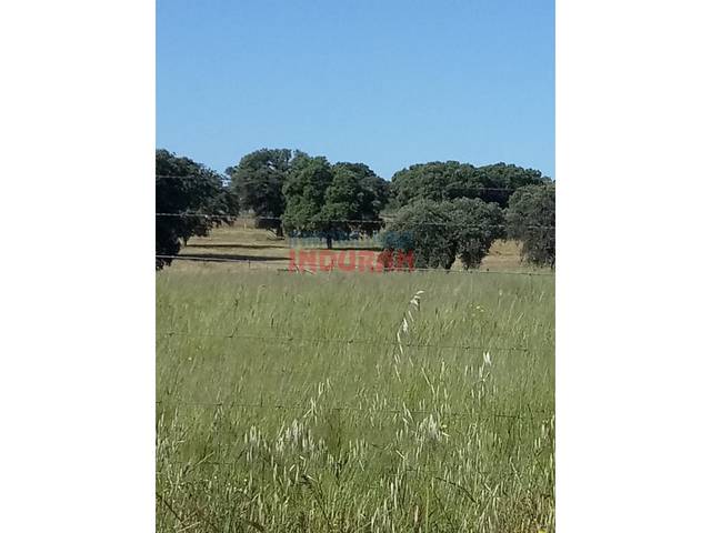 Casa-chalet en Venta en Alcolea de Tajo