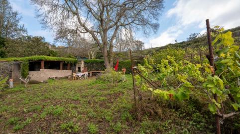 Foto 3 de Finca rústica en venda a Carretera, El Sauzal, Santa Cruz de Tenerife