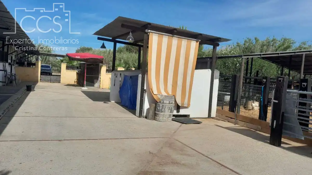 Casa rústica amb jardí en venda a Almonte ciudad, imagen 25