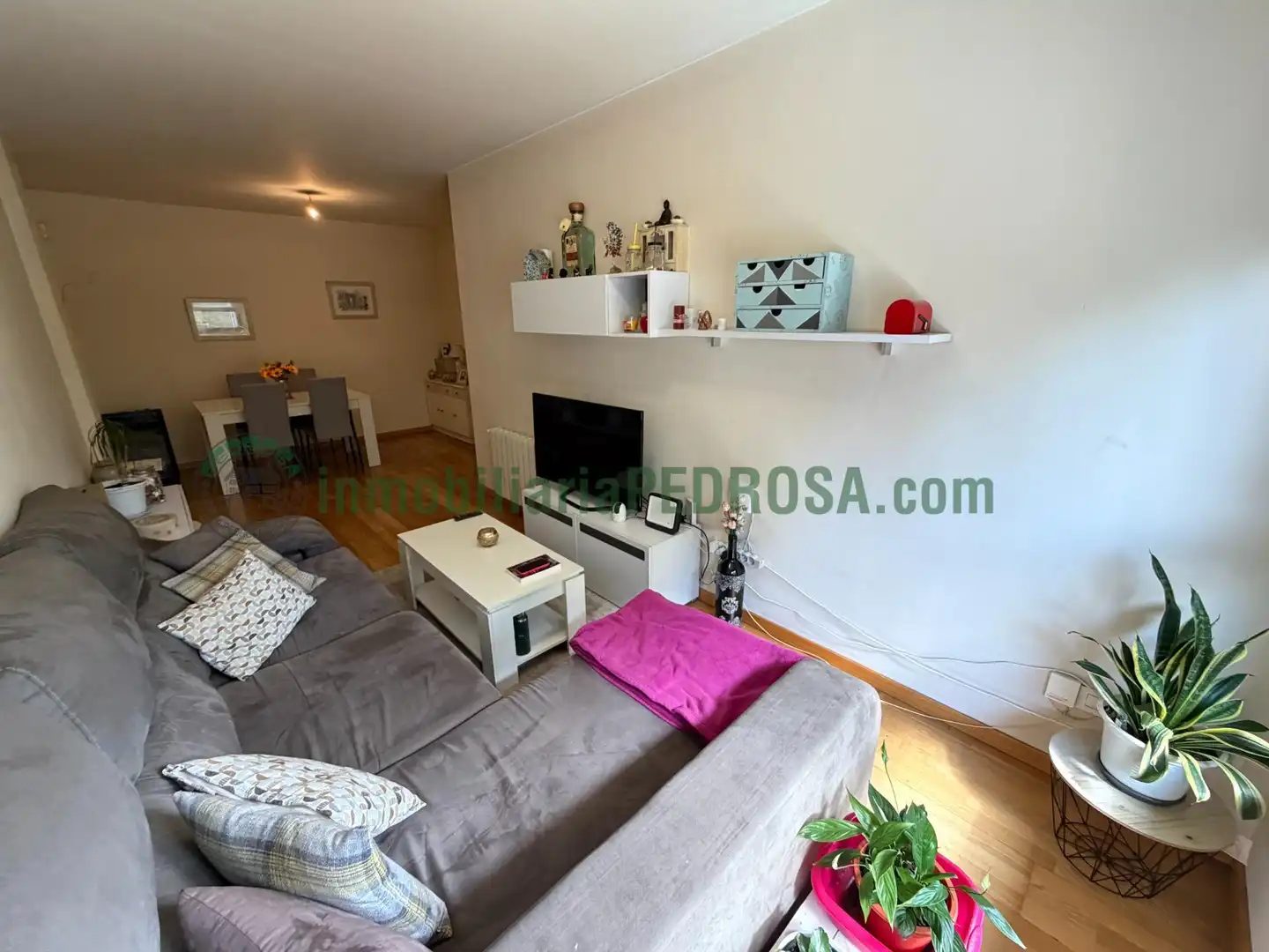 Apartament amb ascensor de lloguer a GRECIA, imagen 5