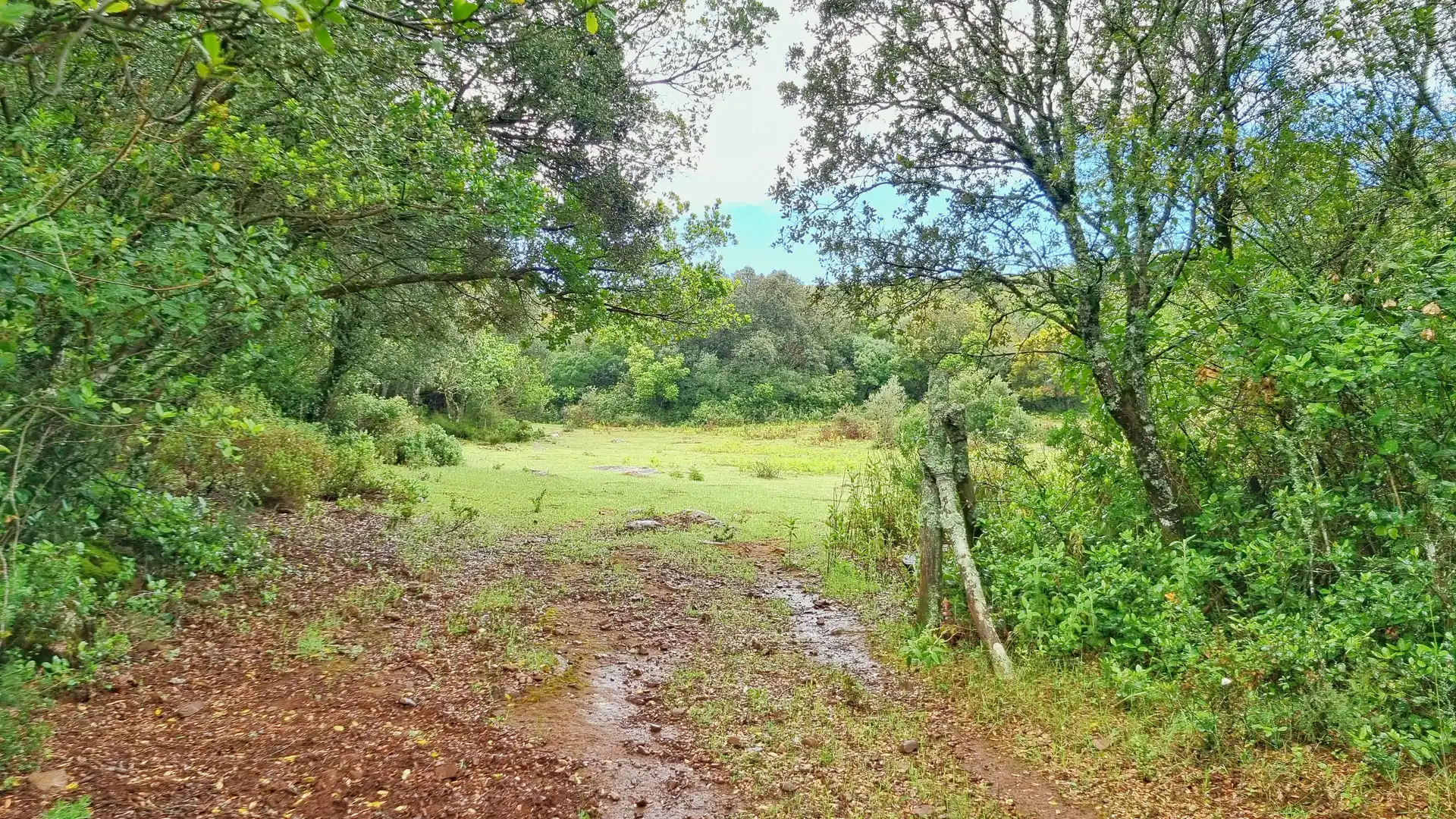 Terreni e lotti in vendita a Castaño del Robledo, imagen 21