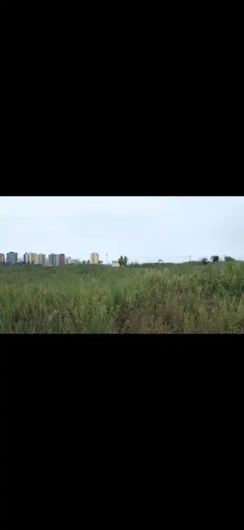 Finca rústica en venta en Massalfassar con Jardín privado, Trastero y Amueblado