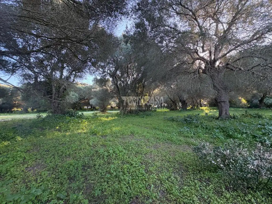 Terreno en venta en Barbate