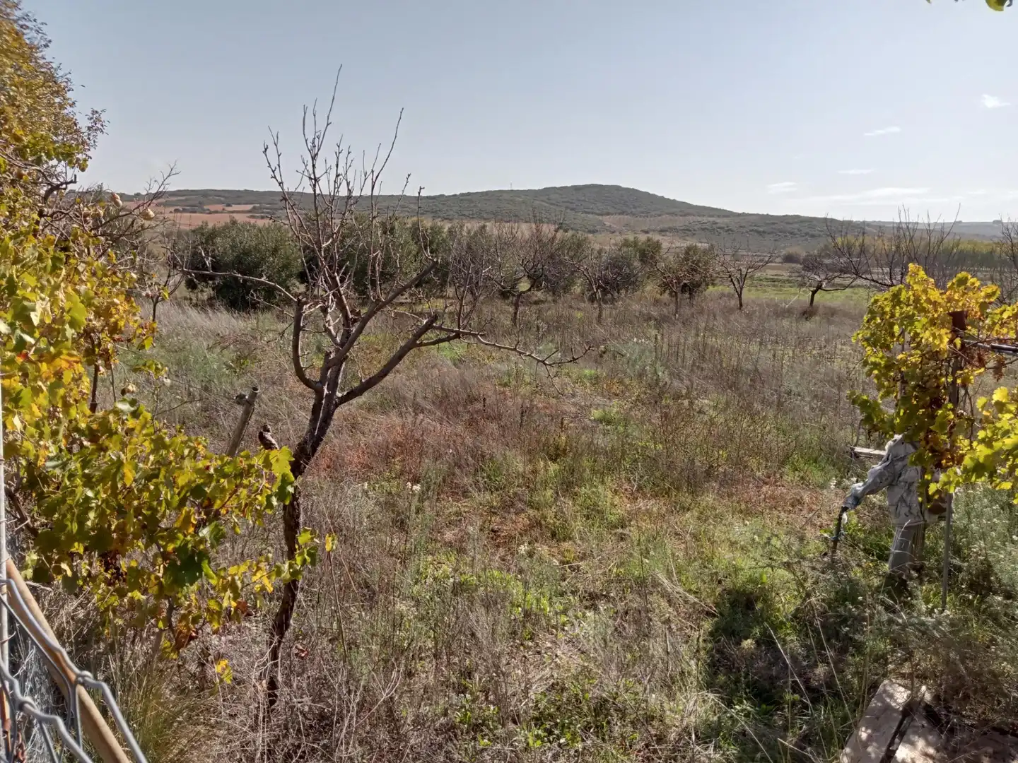 Casa o xalet en venda en Lezuza