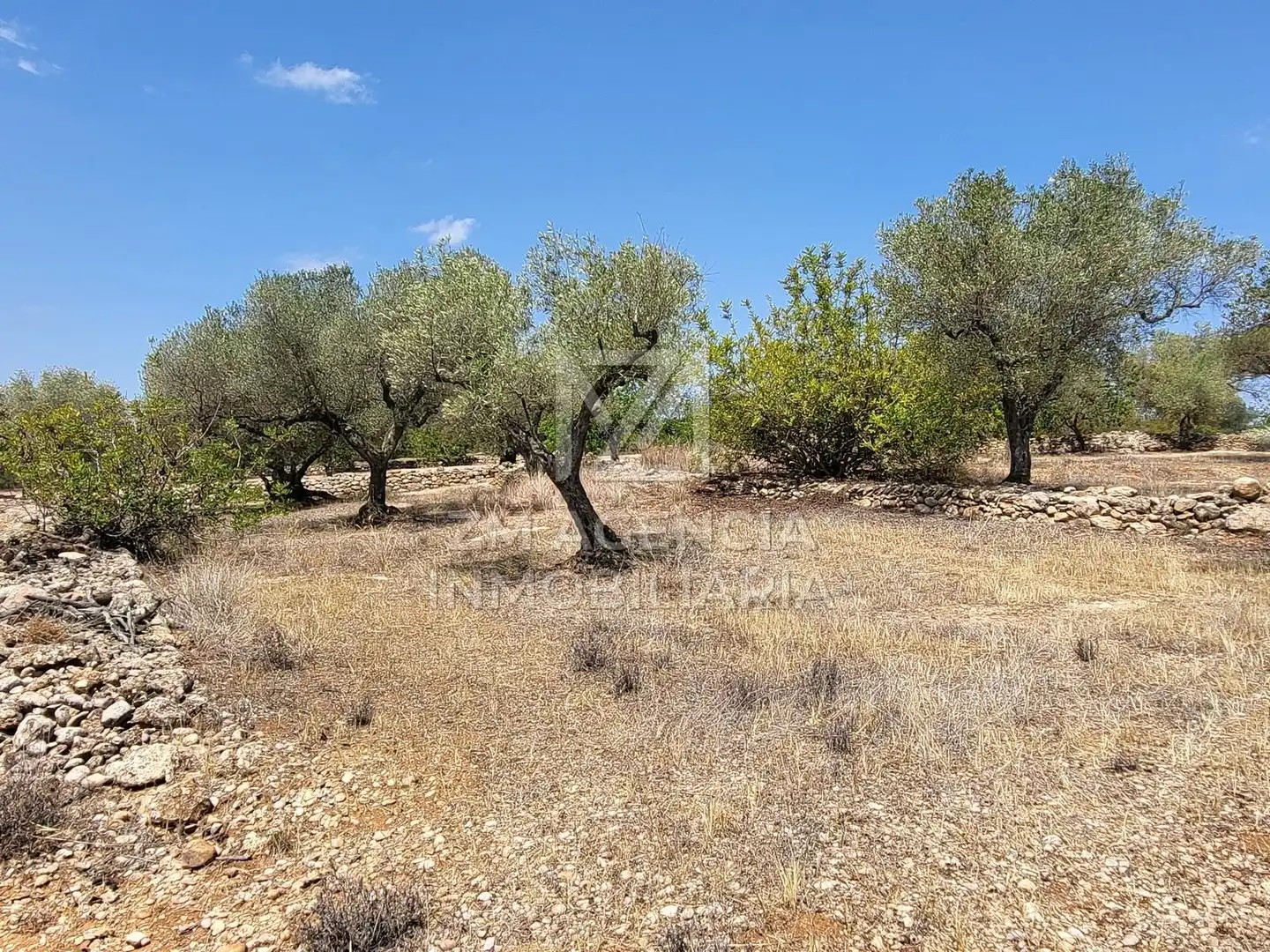 Terreno rustico in vendita a Traiguera, imagen 4