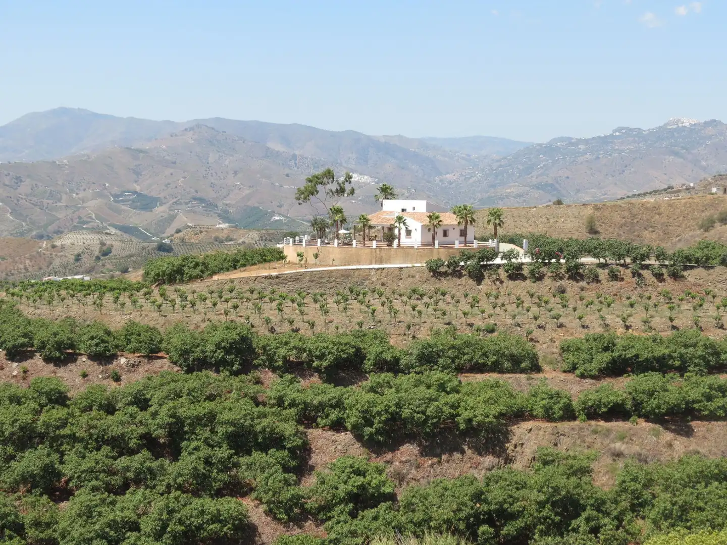 Casa o chalet de alquiler en Carretera Vélez-Málaga, 2, Norte - Barrio del Pilar - El Reñidero