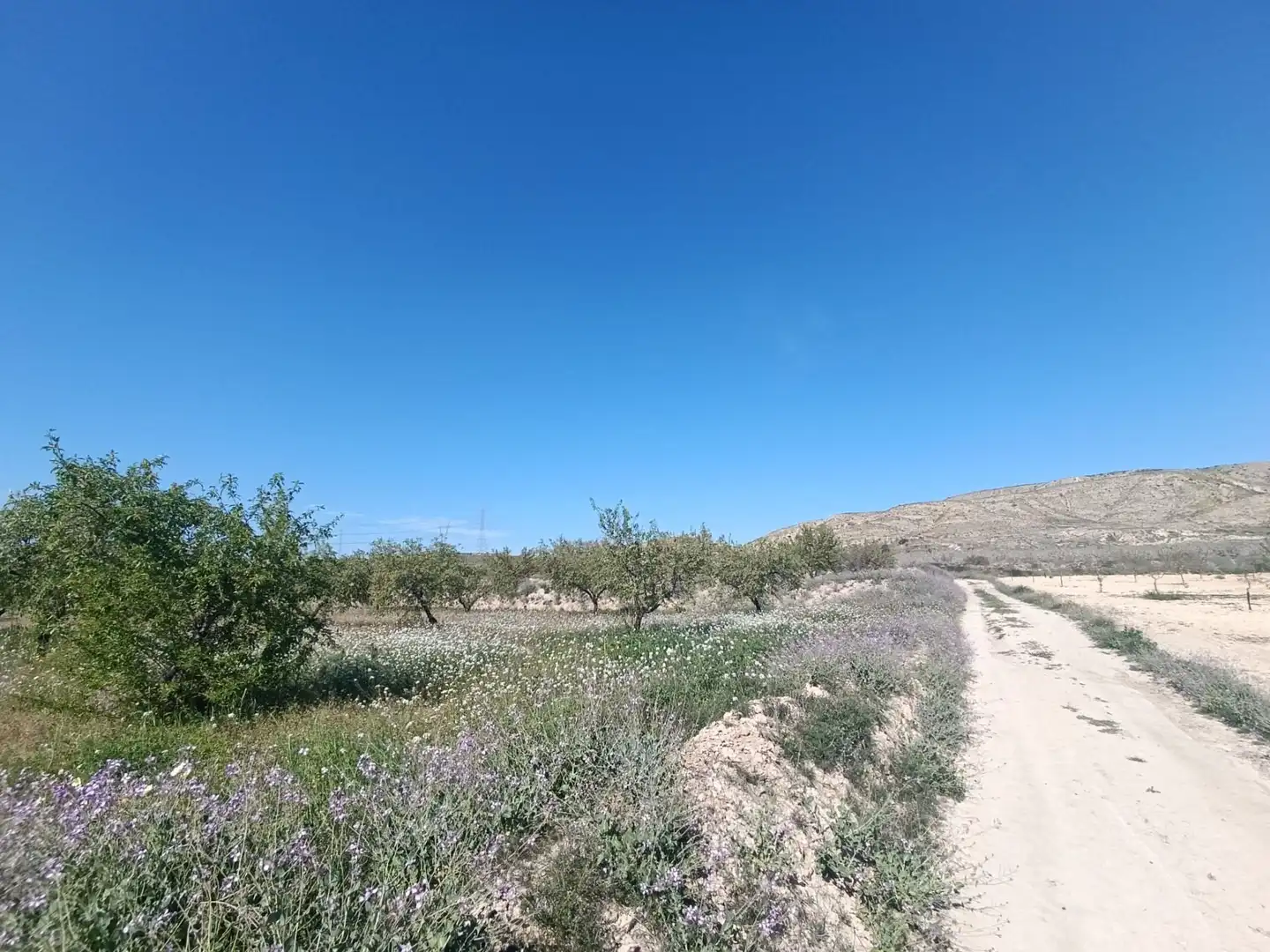 Haus oder Chalet zum Verkauf in Murcia mit Klimaanlage, Heizung und Privatgarten