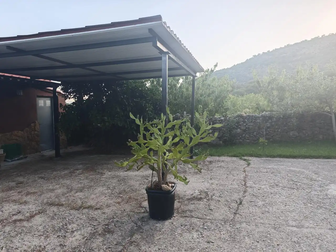 Casa o chalet en venta en El Torno