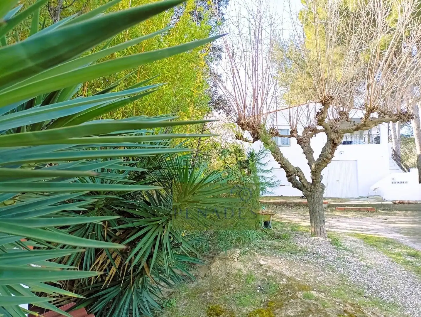 Detached house with pool for sale in El Llombo, imagen 3