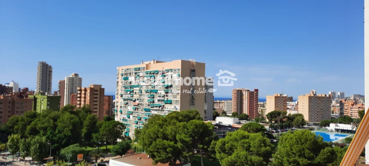 Exterior view of Apartment to rent in Benidorm  with Terrace, Swimming Pool and Furnished