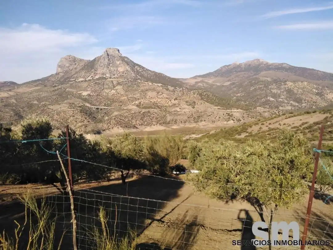 Terreno en venta en Zahara