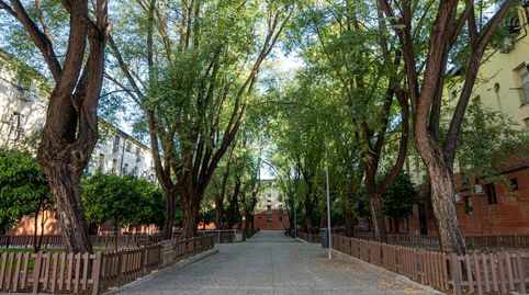 Photo 5 of Flat for sale in Calle Petrarca, El Cerro, Sevilla Capital