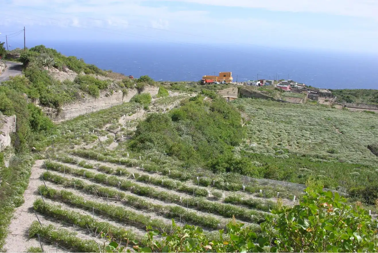 Rural land for sale in Camino la Tirada 10, imagen 3