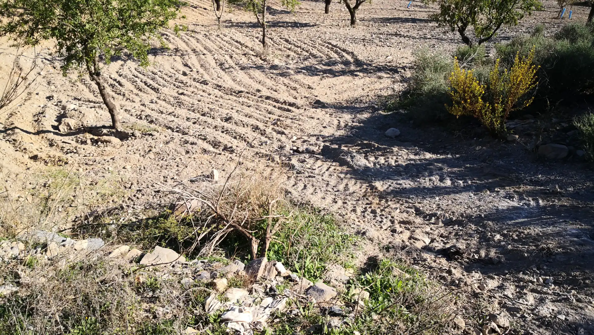 Terreno rustico in vendita a Pasaje las Grillas 26, imagen 5